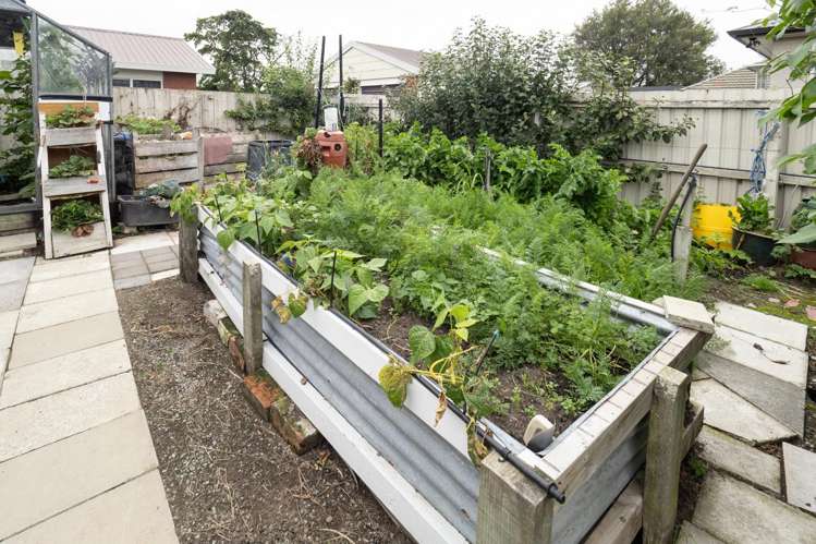 56 Cross Street Allenton_21