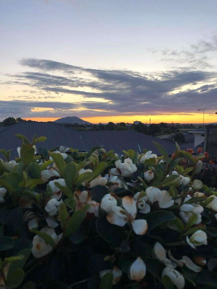 107 George Melrose Drive Te Awamutu_30