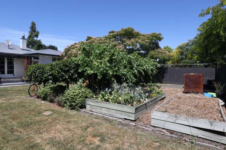 27 Oak Grove Ashburton_21