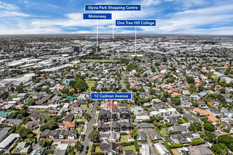 12 Cadman Avenue Greenlane_29