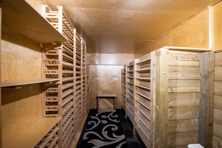 32b Hepburn Street Freemans Bay_13