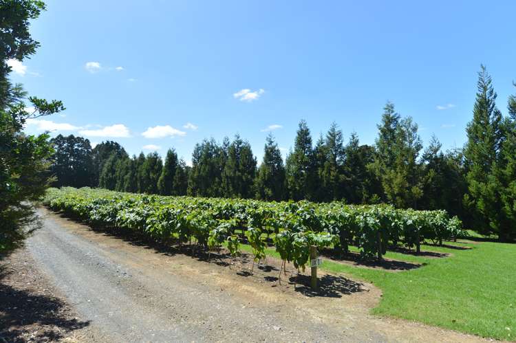 36 Elmsley Road Maungatapere_26