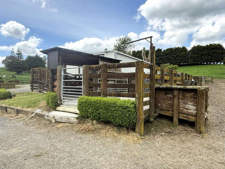 128 Taotaoroa Road Matamata_15