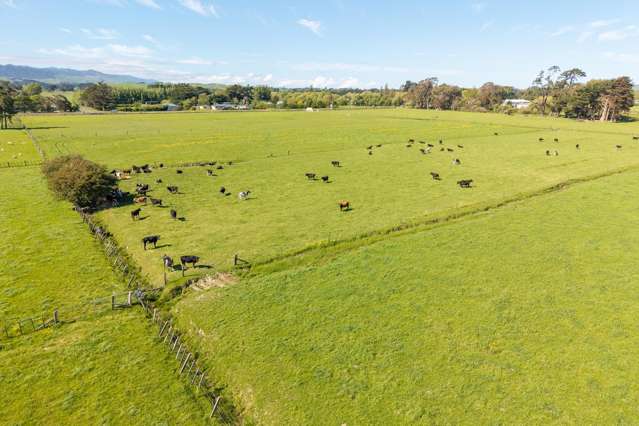 Broomfield Road Woodville_4