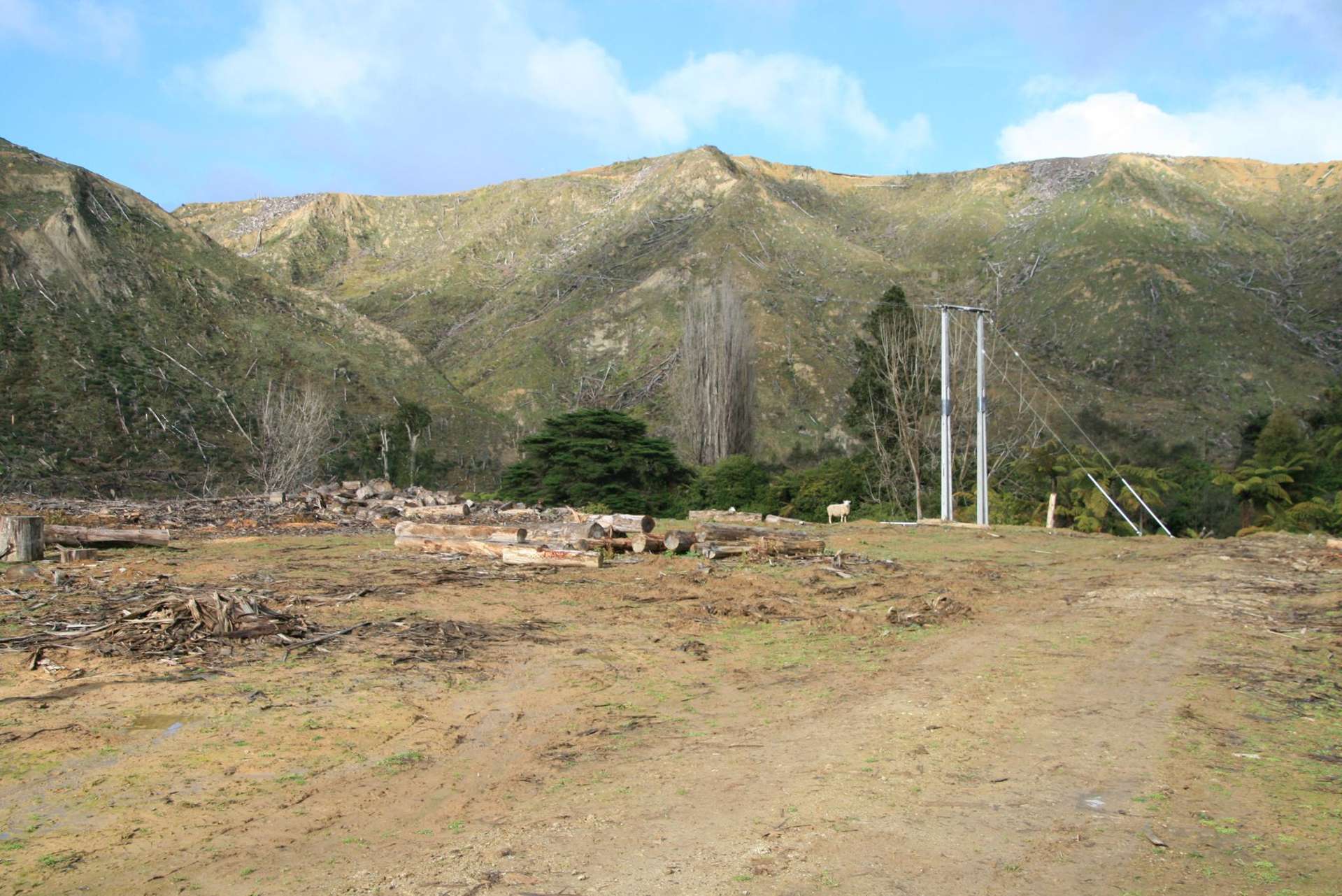0n Makakaho Road Ngamatapouri_0