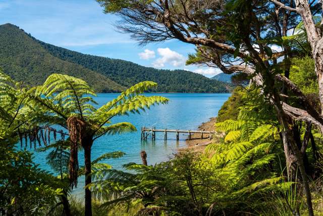 Lot 9 Fairy Bay Pelorus Sounds_1