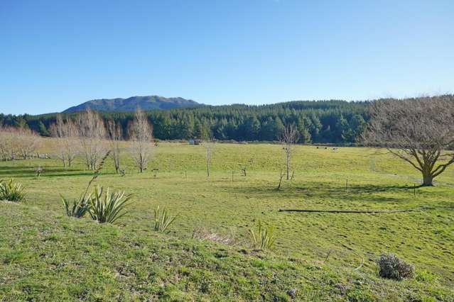 4 Hectares in Paradise.