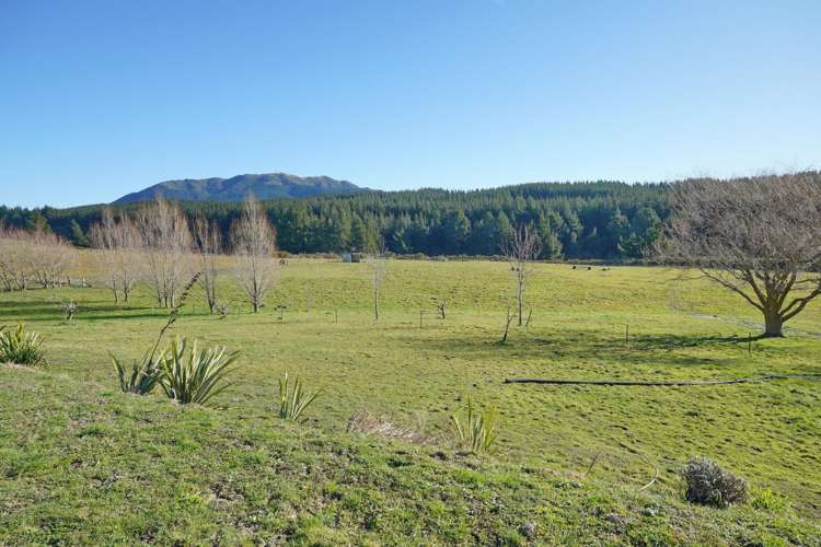 Lot 2/480 Cramptons Bush Road_0