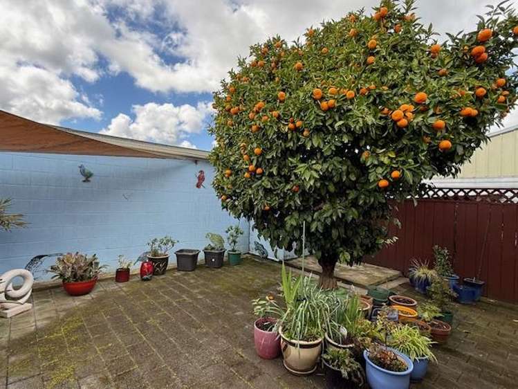 96 Fitzroy Avenue Fitzroy_22