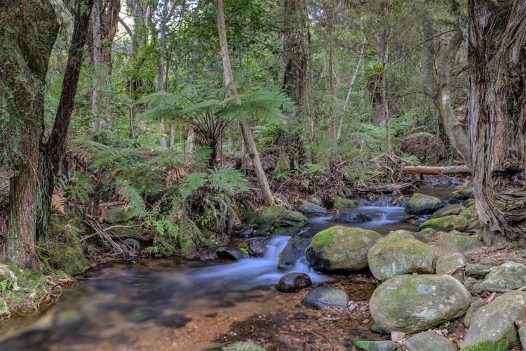 9 Manako Place Kerikeri_26
