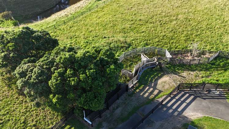 855 Rapanui Road Kai Iwi_8