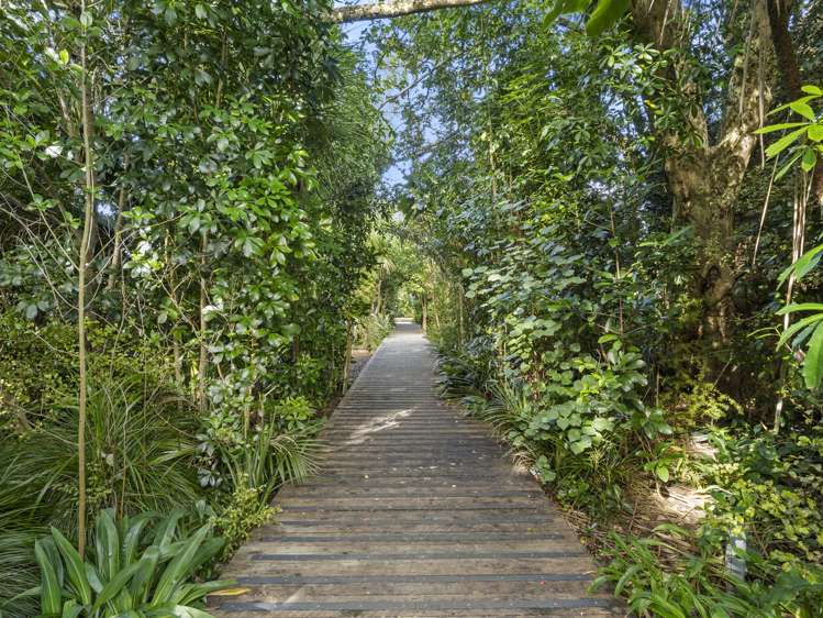 20 Eaves Bush Parade Orewa_26