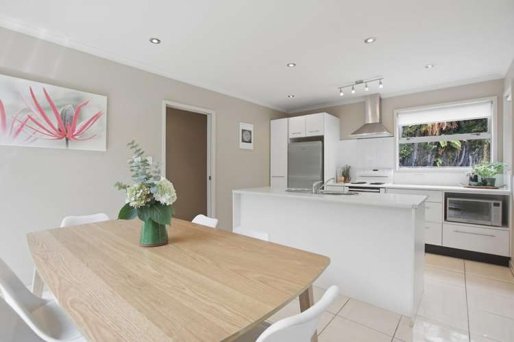 32C Gilbert Street New Plymouth_9