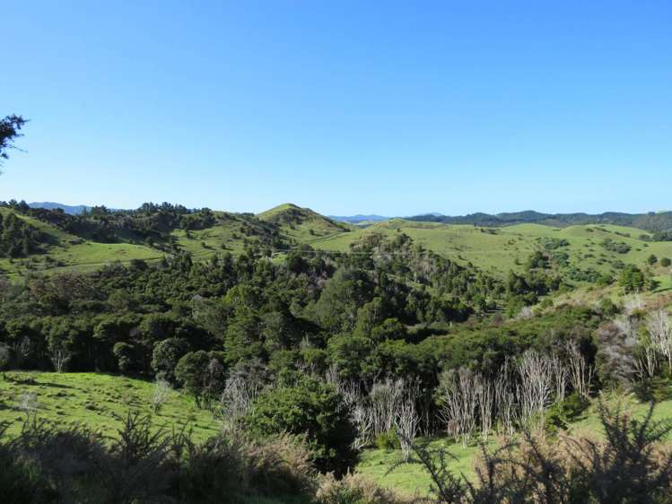 Lot 4 Russell Road Whangaruru_7