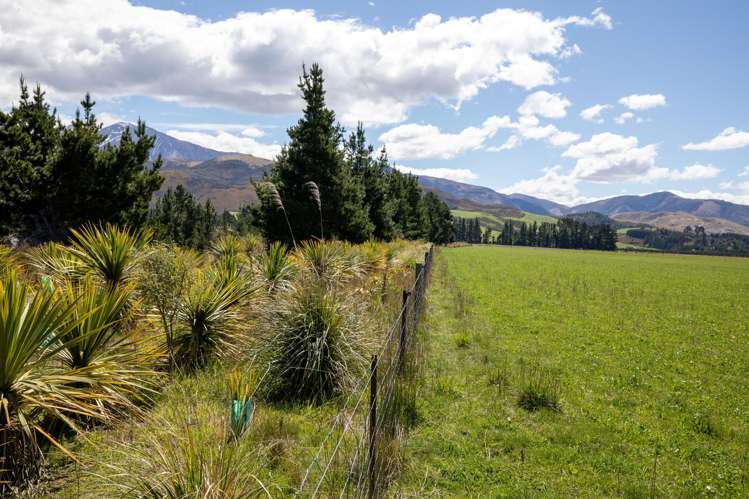 Kowai Road Springfield_5