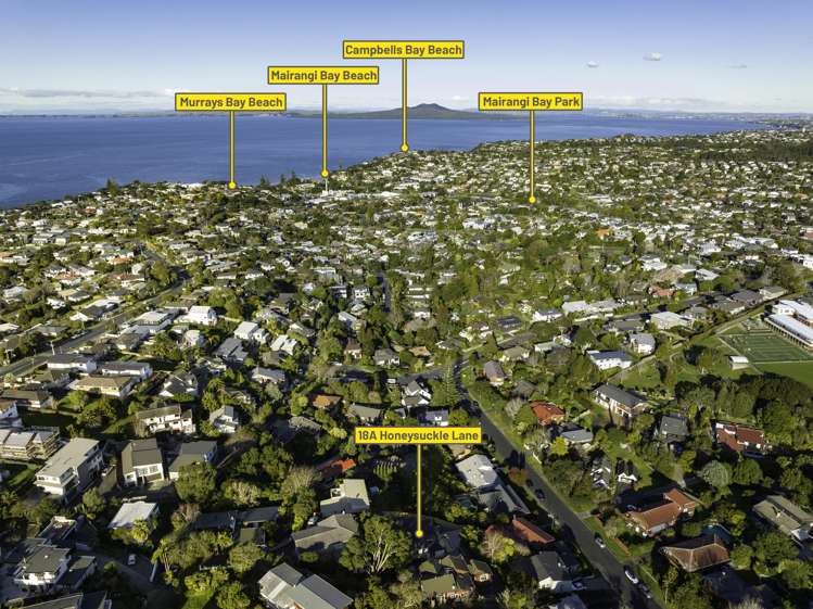 18a Honeysuckle Lane Mairangi Bay_25