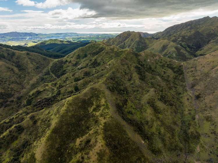 220 Ballochdale Road Seddon_10