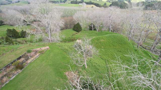 398 Bull Road Paparoa_2