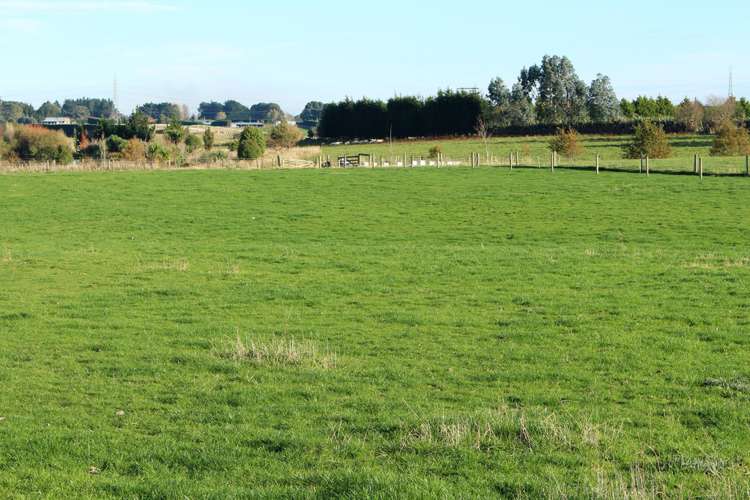 270 Roslyn Road Roslyn Bush_8