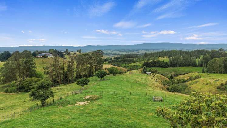 660 Quine Road Morrinsville_28