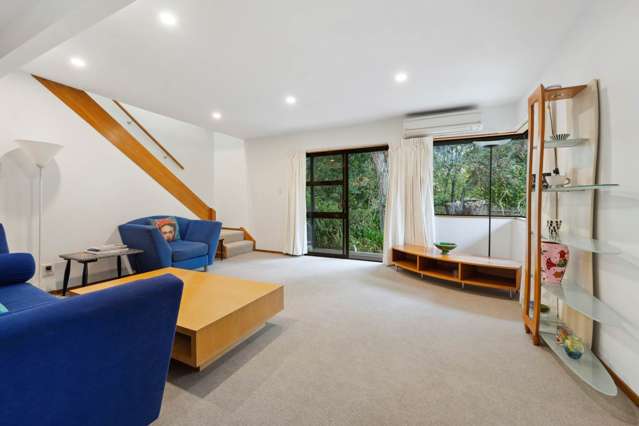 54b Peary Road Mount Eden_3