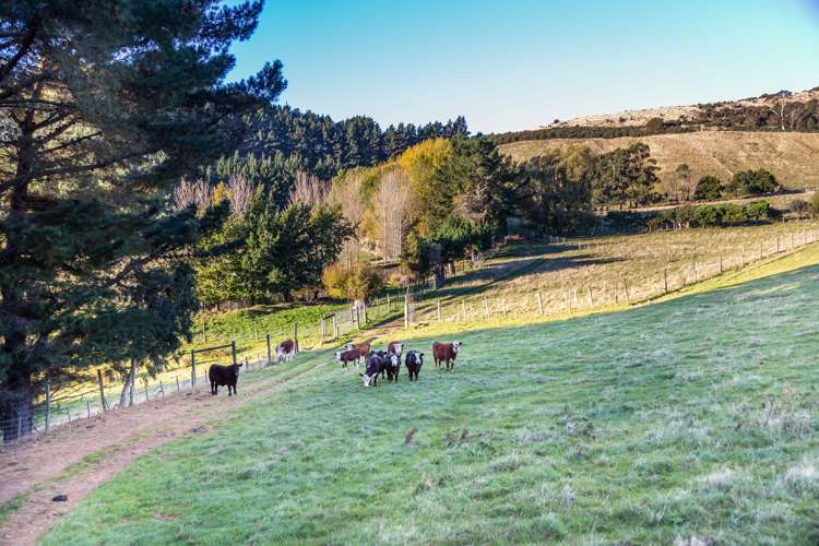 234 Charteris Bay Road Charteris Bay_8