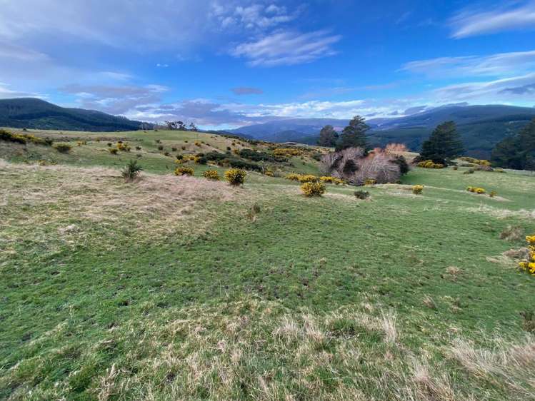 121 Silverstream Valley Road North Taieri_17