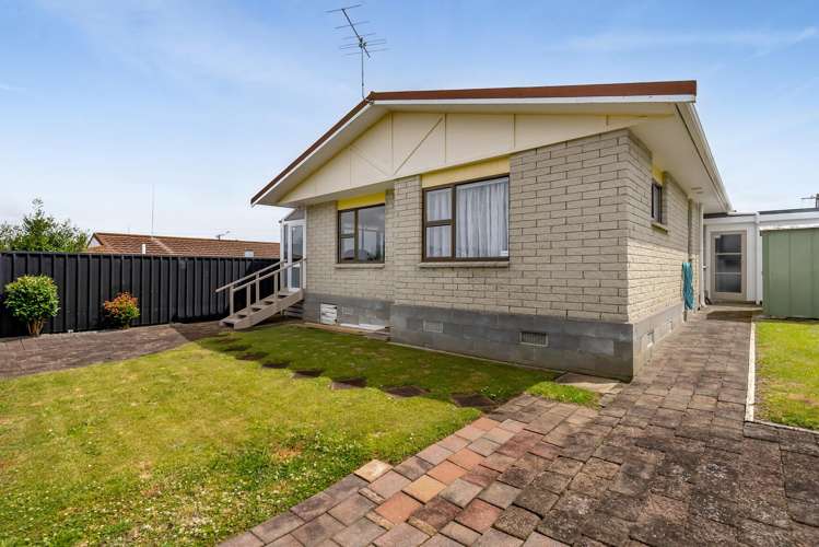 19a Tukapa Street Westown_16