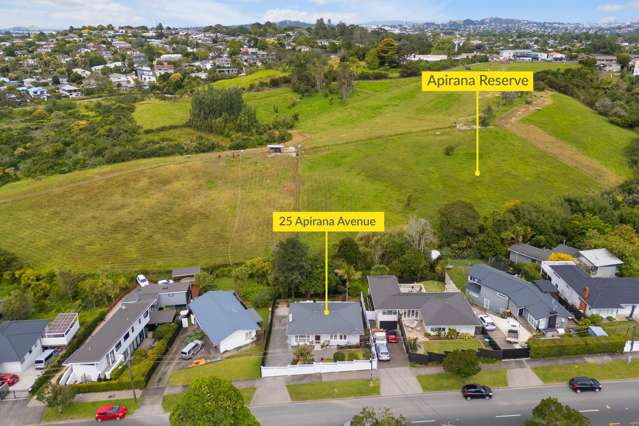 25 Apirana Avenue Glen Innes_2