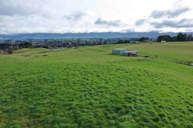 262 Tipapakuku Road Dannevirke_4