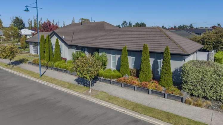 1 Tommy Street Pegasus_28