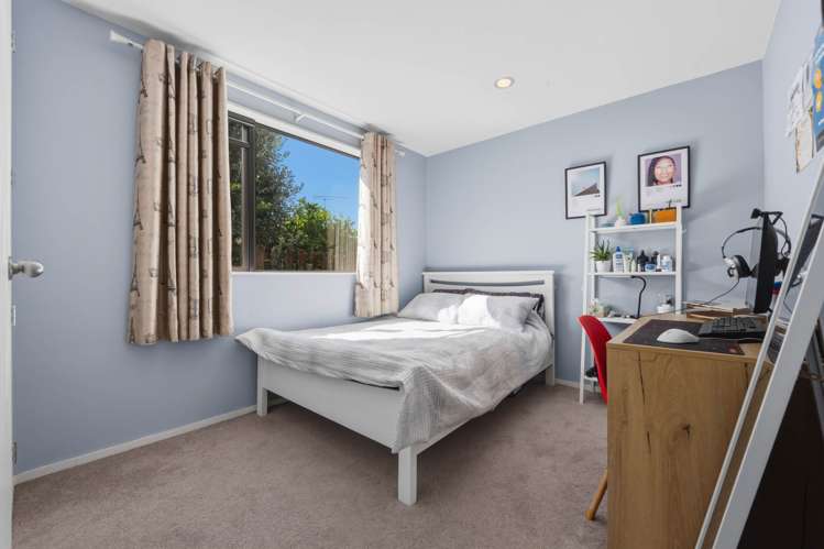 11A Ludlow Terrace Totara Vale_18