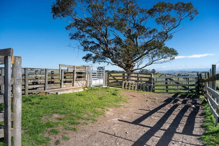 201 Breckenridge Road Puketapu_23