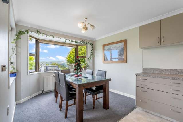 55 Waimumu Road Gore Surrounds_4