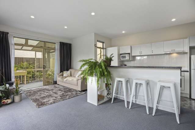 1 Moore Street Sydenham_4