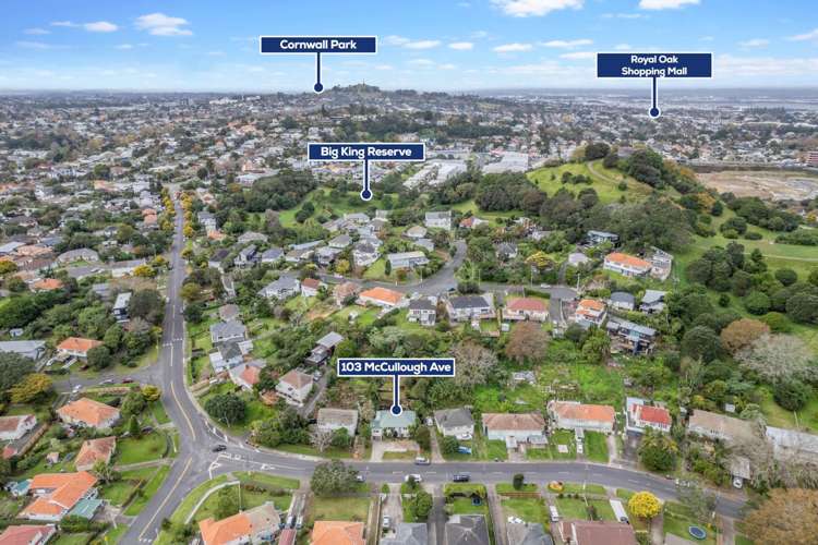 103 Mccullough Avenue Mount Roskill_16