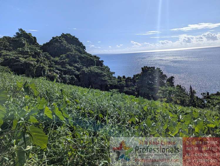 Address withheld Taveuni_26