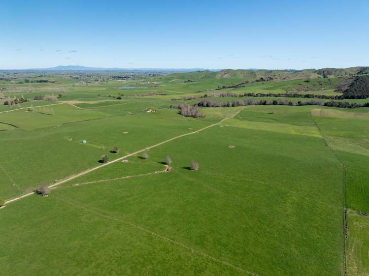 97 Herbert Road Morrinsville_15