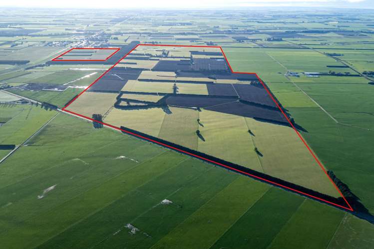 89 Chisnalls Road Hinds_4