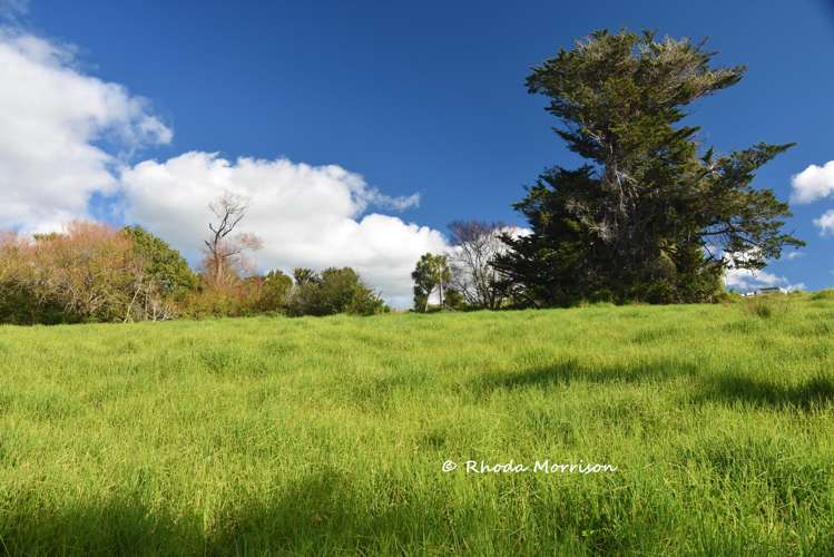 7 Te Tonga Road Matakohe_21