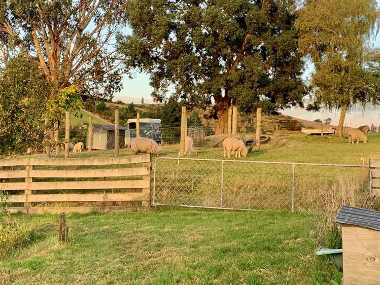 14 Cambridge Street Balclutha_20