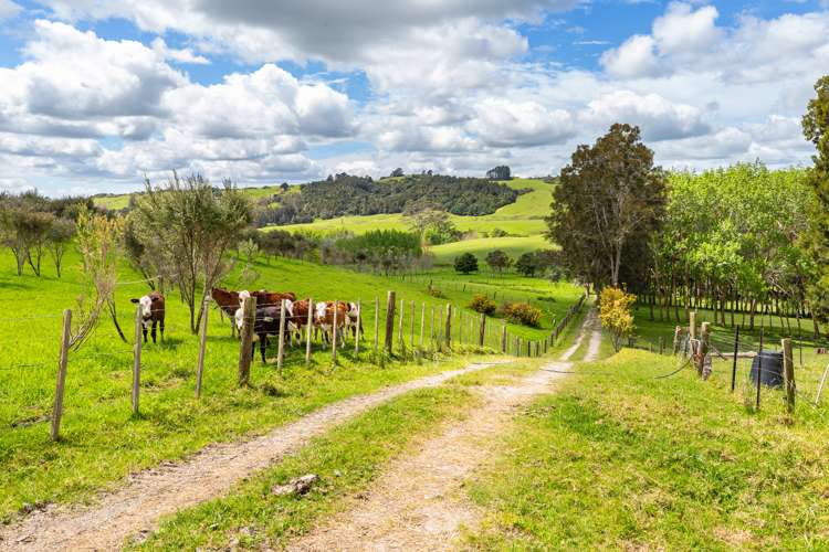 48 Marsh Road Wharehine_5