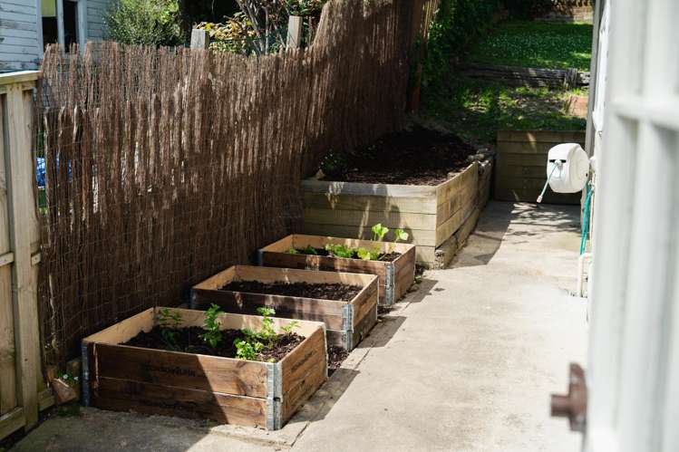 244 Taieri Road Wakari_18