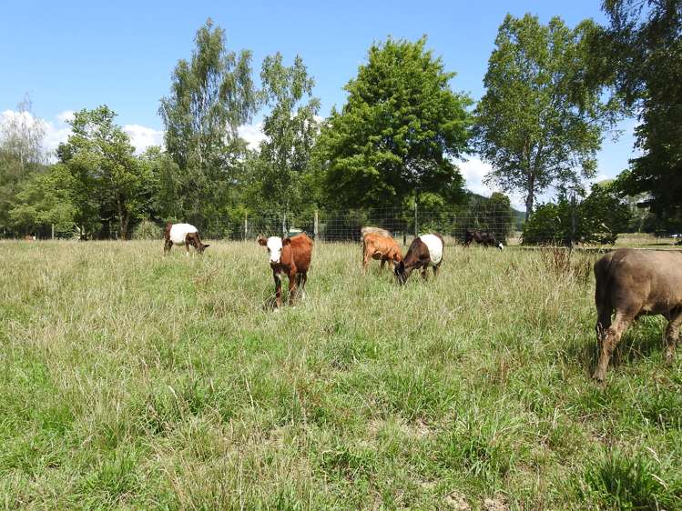 34 Leigh Road Wakefield_10