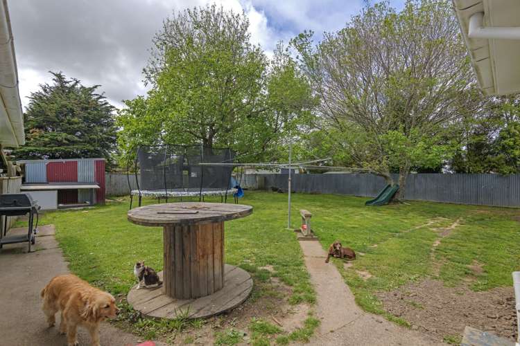 176 Bridge Street Bulls_18