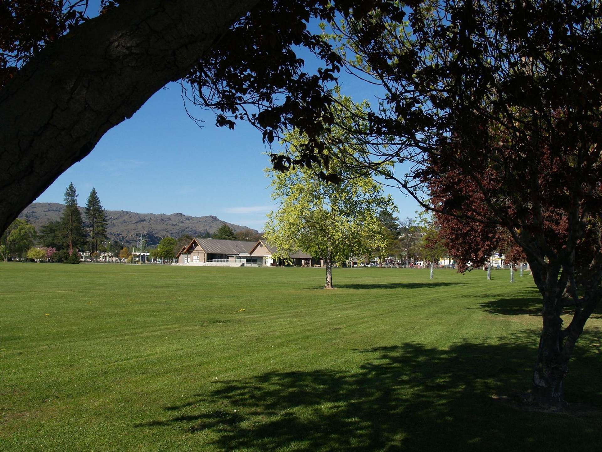 12 Bantry Street Alexandra_0