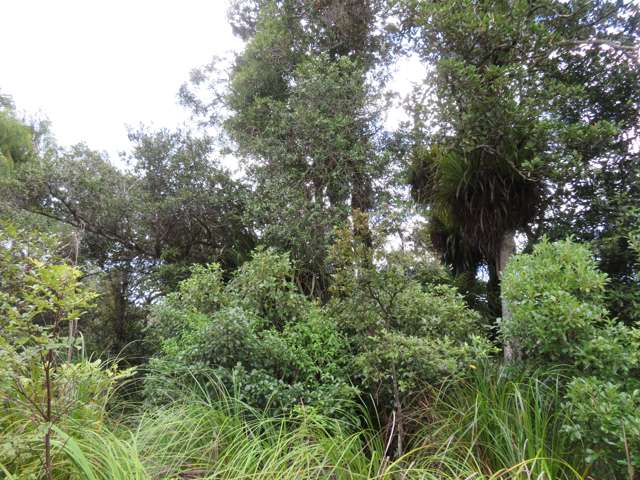 Lot 2 Fern Flat Rd Peria_3