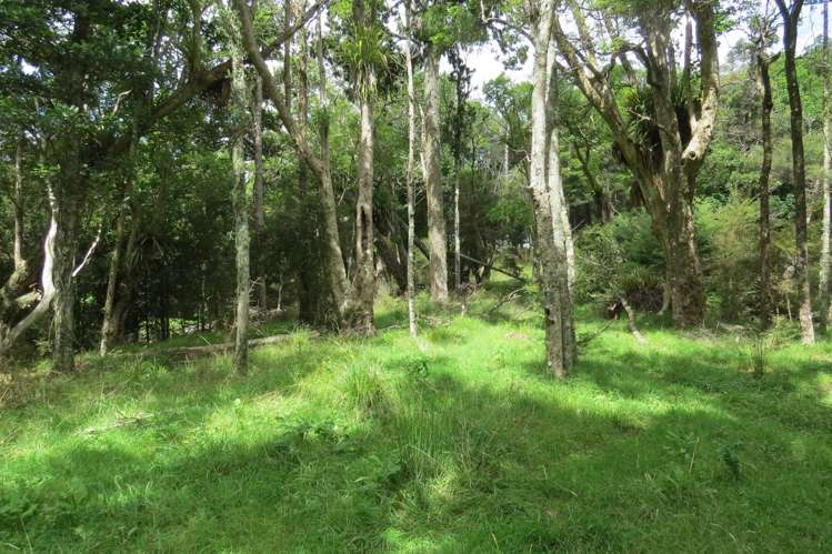 Church Road Kaitaia_17