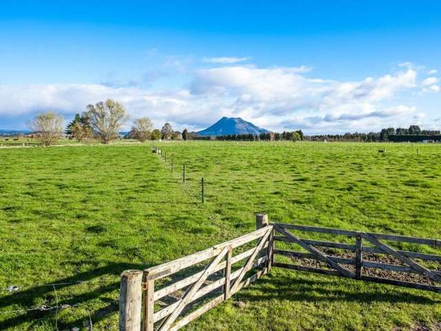 157a Hallett Road Otakiri_2