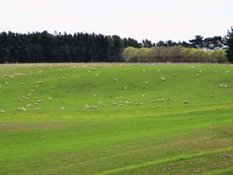 591 Wanganui Road Marton_21